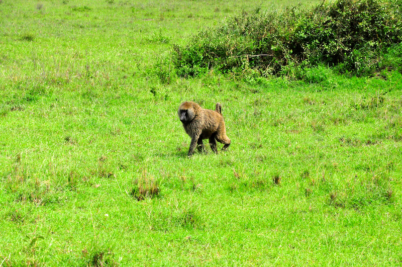Melanie Heinrich Travel Images Africa